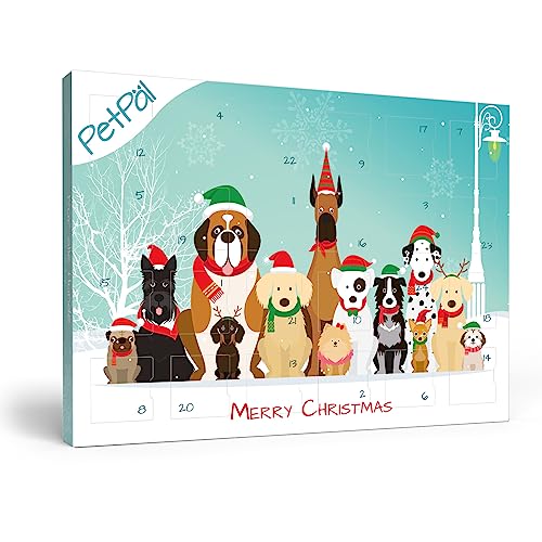 PetPäl Hunde Adventskalender 2024 - Ohne Getreide, Gluten, Zucker, Salz - DER Gesunde und Leckere Snack, Leckerli zu Weihnachten für Deinen Hund - Natürliche Hundekekse zum Advent - Made in Germany von PetPäl