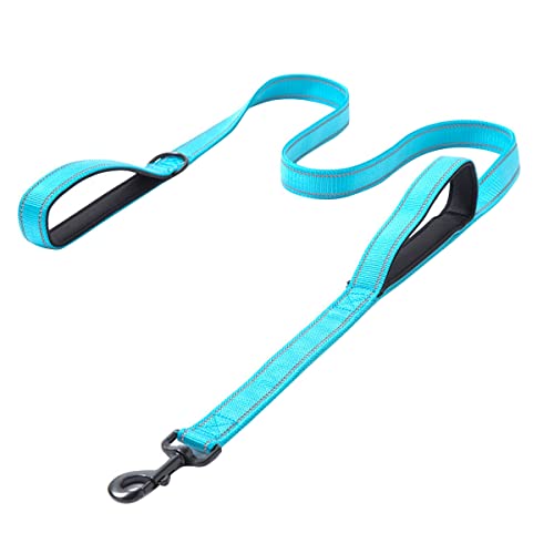 Hundeleine 4.9/5,9 -Zoll -Training Walking Hunde Leine Reflektierende Nylon Hundeleine Leine Leine Dual Griff Hunde Walking Leinen Leine Leine Erweiterung Hundeleine Training Leine Tangle von PetPhindU