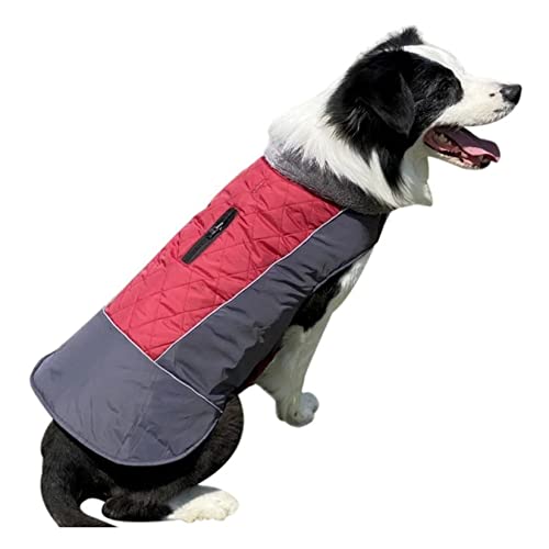 Hundemantel Herbst und Winter Hunde Gepolsterte Weste Outdoor Hundekleidung Doppelseitige wasserdichte Haustierkleidung Haustier Mantel mit Leinen Hole Hunde Winterjacke Hunde Kaltes von PetPhindU