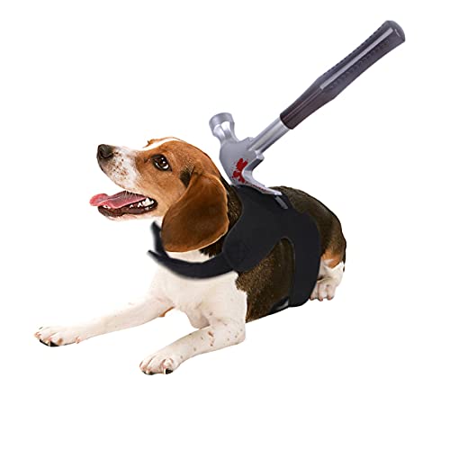 Pet Halloween Kostüm Scary Halloween Haustier Brust Zurück Lustige Katze und Hund Transformation Kostüm Welpen Small Medium Hunde Chihuahua Teddy Mops Weihnachten Party Halloween Kostüme von PetPhindU