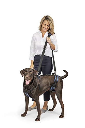 PetSafe CareLift Stützgeschirr, Ganzkörper-Hebehilfe mit Griff und Schultergurt, ideal für die Mobilität von Haustieren und älteren Hunden, um ihnen zu helfen, bequemes, atmungsaktives Material, von PetSafe