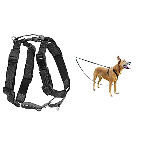 PetSafe 3-in-1 Geschirr, Hundegeschirr mit Rückhaltegurt, Reduziert Ziehen und Druck auf die Kehle, Größe S, Schwarz & Anti-Zieh Hundeleine, Kompatibel mit PetSafe 3-in-1-Geschirr, 1,2 m, Grau von PetSafe