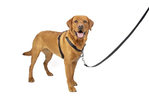 PetSafe 3-in-1-Hundegeschirr, Keine Ziehlösung für Hunde, reflektierendes Hundegeschirr, D-Ring-Clip vorne hilft gegen Ziehen, bequem gepolsterte Gurte, Tragegriff Oben verbessert die Kontrolle, von PetSafe