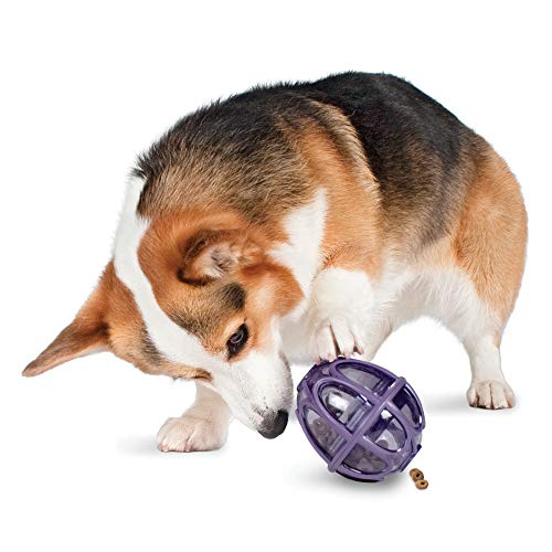 PetSafe Busy Buddy Kibble Nibble - Hundespielzeug - Leckerli- und Futterspender - Slow Feeder - Klein von PetSafe