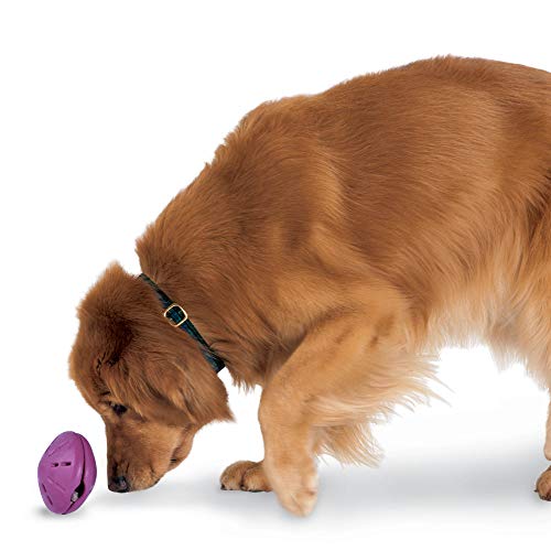 PetSafe Busy Buddy Twist 'n Treat Hundespielzeug, groß, alle Rassengrößen von PetSafe