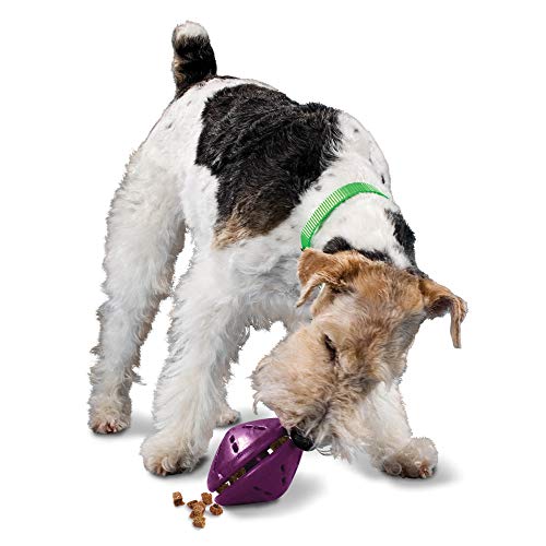 PetSafe Busy Buddy Twist 'n Treat Dosierendes Hundespielzeug, mittelgroß von PetSafe