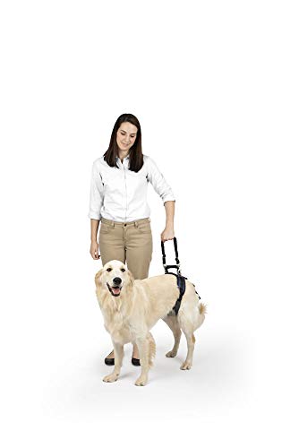 PetSafe CareLift Heckstützgeschirr – Hebehilfe mit Griff und Schultergurt – ideal für Haustier-Mobilität und ältere Hunde – bequemes, atmungsaktives Material – einfach zu verstellen, schwarz, groß von PetSafe