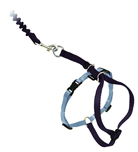 PetSafe Come with Me Kitty Geschirr und Bungee Leash, Geschirr für Katzen, groß, Schwarz/Silber von PetSafe