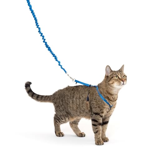 PetSafe Come with Me Kitty Geschirr und Bungee-Leine, Größe M, Königsblau von PetSafe