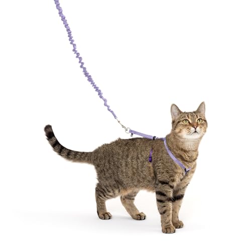 PetSafe Come with Me Kitty Geschirr und Bungee-Leine, Geschirr für Katzen, Größe S, Lila/Hellviolett von PetSafe