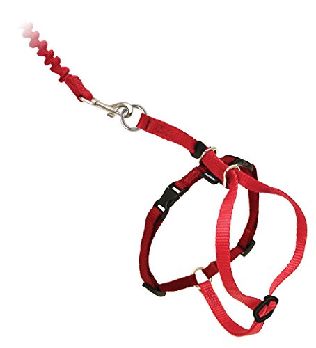 PetSafe Easy Walk Katzengeschirr, Mit elastischer Bungee-Leine, Für Spaziergänge mit Ihrer Katze, Größe L, Rot von PetSafe