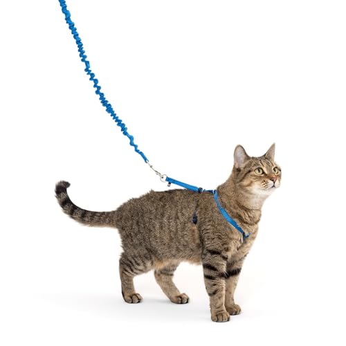 PetSafe Come with Me Kitty Geschirr und Bungee-Leine, Geschirr für Katzen, klein, Königsblau/Marineblau PetSafe Come with Me Kitty Geschirr und Bungee-Leine, Geschirr für Katzen, klein, Königsblau/Marineblau von PetSafe