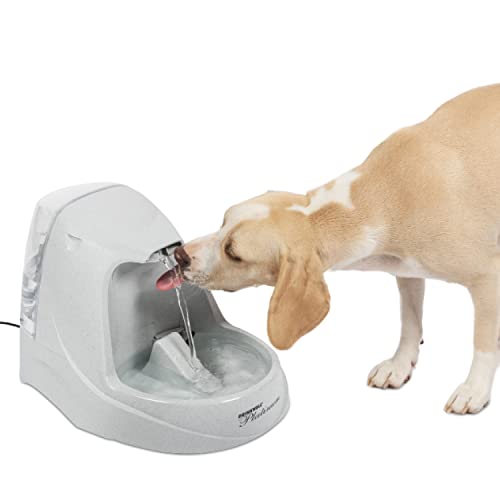 PetSafe Drinkwell Trinkbrunnen Platin, Filtert Wasser für Hunde und Katzen, BPA-freier Kunststoff, 5 L Fassungsvermögen, 1 Stück (1er Pack) von PetSafe