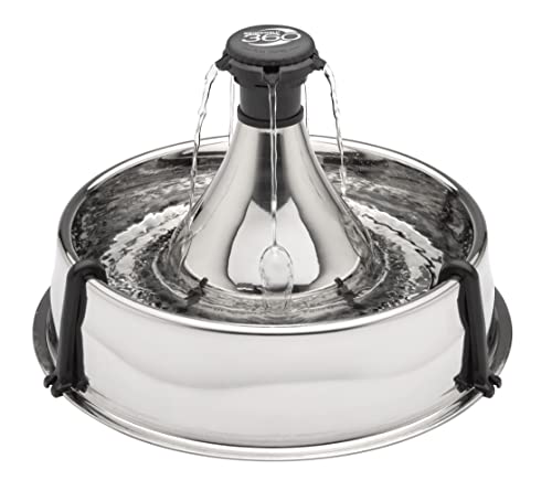 PetSafe Drinkwell Edelstahl-Trinkbrunnen 360 für Hunde und Katzen, BPA-frei, Leiser Betrieb, 3,8 L Wasserkapazität von PetSafe