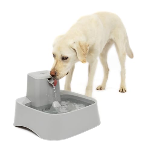 PetSafe Drinkwell Haustierbrunnen, groß, 2 Gallonen von PetSafe