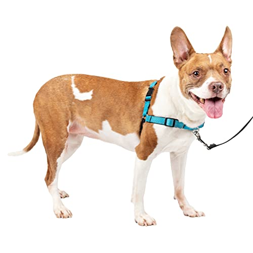 PetSafe Easy Walk Deluxe Geschirr, Gehgeschirr ohne Zug für Hunde, gepolstertes Design, inkl. 1,8 m Leine, mittelozeanblau/schwarz von PetSafe