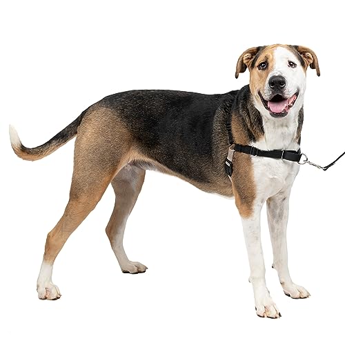 PetSafe Easy Walk Hundegeschirr., X-Large von PetSafe