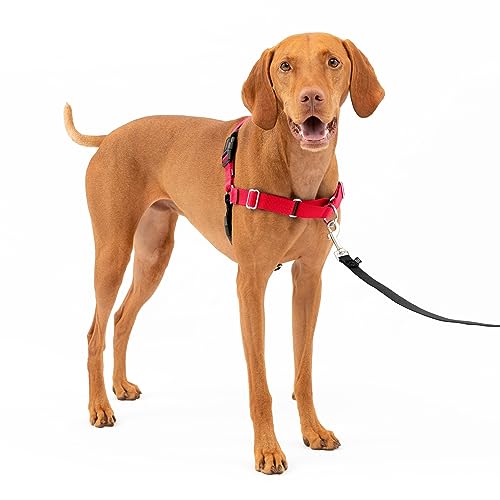 Easy Walk Harness Red Medium by von PetSafe