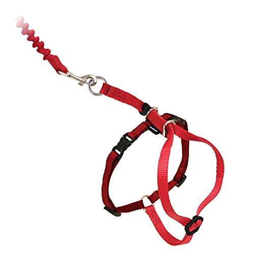 PetSafe Easy Walk Katzengeschirr, Mit elastischer Bungee-Leine, Für Spaziergänge mit Ihrer Katze, Größe L, Rot, CWMK-L-RED-19 von PetSafe