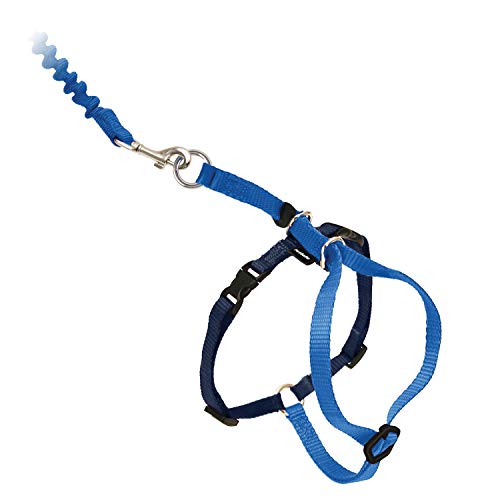 PetSafe Easy Walk Katzengeschirr, Mit elastischer Bungee-Leine, Für Spaziergänge mit Ihrer Katze, Größe M, Blau, CWMK-M-RYL-19 von PetSafe