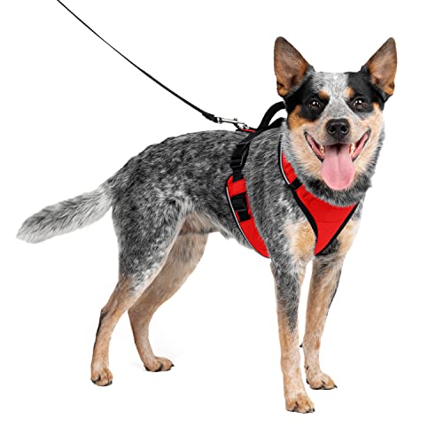 PetSafe EasySport Geschirr, Elastischer Halsausschnitt, Gepolsterter Griff, Für Hunde von 11,3 bis 22,5 kg, Größe M, Rot von PetSafe