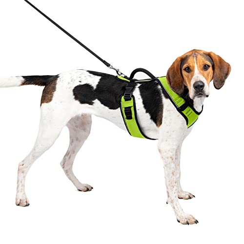 PetSafe Easysport Hundegeschirr, Größe L, Apfel PetSafe Easysport Hundegeschirr, Größe L, Apfel von PetSafe