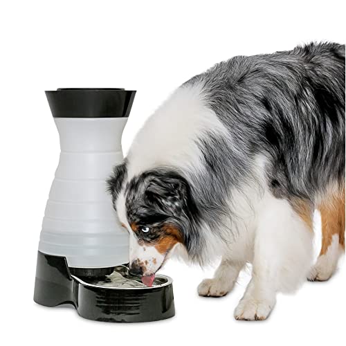 PetSafe Gesundes Pet Water Station Hunde und Katzen Wasser System mit Edelstahl Schüssel von PetSafe