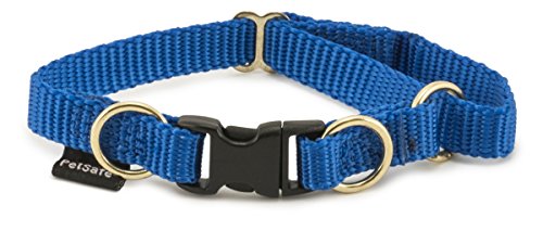 PetSafe KeepSafe strapazierfähiges Halsband von PetSafe