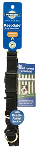 PetSafe KeepSafe strapazierfähiges Halsband für Hunde, Nylon, Patentierte Sicherheits-Schnalle, für alle Hunderassen, Medium (2 inches), schwarz von PetSafe