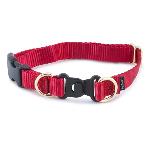 PetSafe KeepSafe strapazierfähiges Halsband für Hunde - Medium (1 inch), Rot, Nylon, Patentierte Sicherheits-Schnalle, Verhindert Strangulierung, Größe M: 2,5 cm von PetSafe