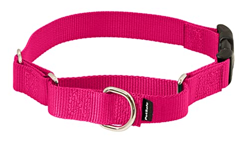 PetSafe Martingale Halsband mit Schnellschnalle, 1,9 cm, Größe M, Himbeere von PetSafe