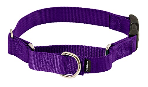 PetSafe Martingale Hundehalsband mit Schnellverschluss-Schnalle, zierlich, 1,9 cm, Dunkelviolett von PetSafe