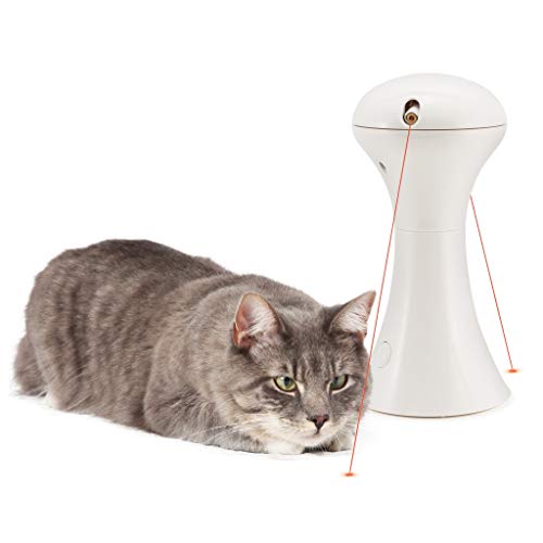 PetSafe Multilaserlicht-Spielzeug, Dualer Laser für Katzen, Größen alle Rassen , Integrierter 15-Minuten-Timer, 4 AA-Batterien nötig, Weiß von PetSafe