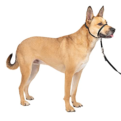 Gentle Leader Quick Release Head Collar Medium Black 25-60 lbs von PetSafe