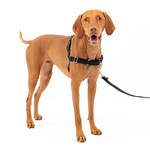 Premier Easy Walk Hundegeschirr, Schwarz-Beige, Größe M von PetSafe