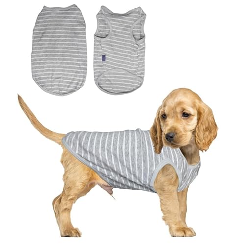 PetSmiler Hundepullover Katzenpullover, Gestreifte Hunde Shirt Dehnbares Hundeshirts für Kleine Hunde Pullover Bequeme Hund Ringelshirt für Kleine Hunde Katzen Chihuahua Kleidung, Grau M von PetSmiler