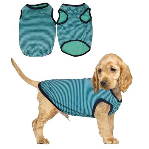 PetSmiler Hundepullover Katzenpullover, Gestreifte Hunde Shirt Dehnbares Hundeshirts für Kleine Hunde Pullover Bequeme Hund Ringelshirt für Kleine Hunde Katzen Chihuahua Kleidung, Grün-blau L von PetSmiler