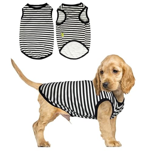 PetSmiler Hundepullover Katzenpullover, Gestreifte Hunde Shirt Dehnbares Hundeshirts für Kleine Hunde Pullover Bequeme Hund Ringelshirt für Kleine Hunde Katzen Chihuahua Kleidung, Schwarz L von PetSmiler