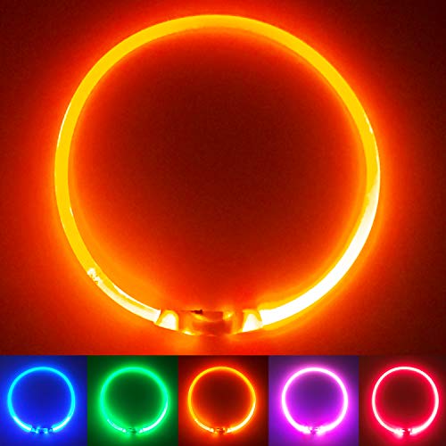 PetSol LED-Hundehalsband in Orange – wiederaufladbares USB-Sicherheitshalsband mit blinkendem Licht für Hunde, Katzen und Welpen – Größe S, M und L – modisches, im Dunkeln leuchtendes Design von PetSol