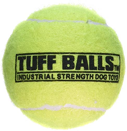 PetSport Tuff Tennis Ball Industrial Strength Dog Fetch Toy 2.5 inch - 12 Pack von PetSport USA