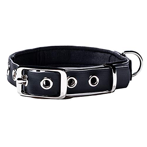 PetTec Hundhalsband Schwarz aus Trioflex™ wetterfest, wasserabweisend & robust | für kleine Hunde von PetTec