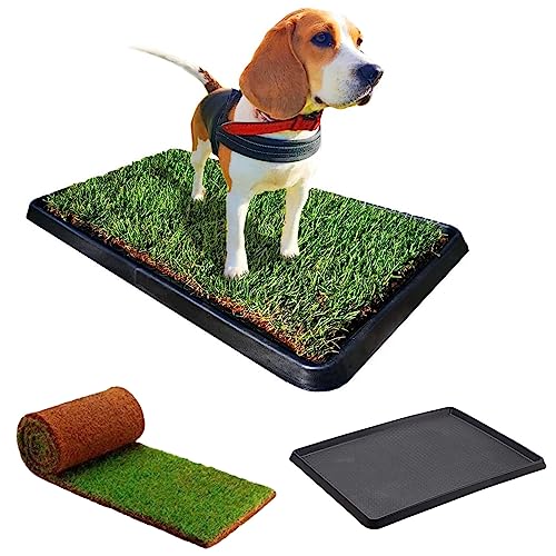 PetZolla KIT M - Grasbewachsenes Hundebett + PetTray Tablett zur Aufbewahrung, kühlende und natürliche Hundeschläfer, Hundebett aus echtem Premium, Innenhundebett Größe M (85 x 40 cm) von PetZolla