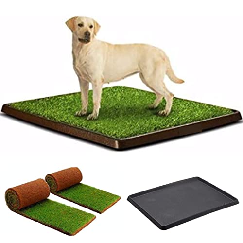 PetZolla KIT XL - Gras Hundebett + PetTray Tablett zur Aufbewahrung, kühlende und natürliche Hundeschläfer, echtes Hundebett für Hunde, Innenhunde, Größe XL (100 x 80 cm) von PetZolla