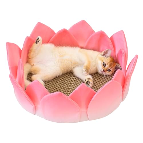 Petal's Paradise Gemütliches Katzenbett mit abnehmbarem Kissen & Kratzkissen, groß, 40 cm, mehrlagiges Design, rutschfester Boden, wetteranpassungsfähiges Zubehör für Katzen (Blütenblatt & Kratzbrett von Petal's Paradise