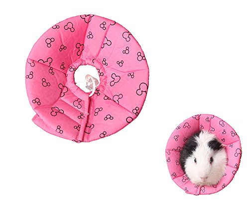 Halskrause für Hamster, Kaninchen, Kegelhalsband, für kleine Tiere, Elisabethanisches Halsband gegen Wasserbissen, Risistant für Meerschweinchen, Mäuse, Ratten, Frettchen, Quadrel (L, Pink) von Petall