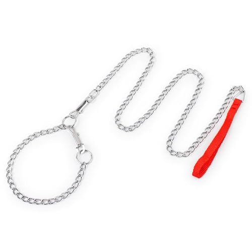 Hundeleine aus Stahl mit Halsband und Nylon-Griff – einfache Trainingsleine, robuste Metallkette für kleine, mittelgroße und große Hunde (M) von Petall