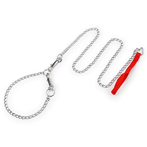 Hundeleine aus Stahl mit Halsband und Nylon-Griff – einfache Trainingsleine, robuste Metallkette für kleine, mittelgroße und große Hunde (S) von Petall