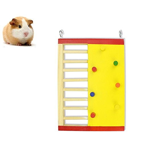 Petall Hängeleiter für Hamster, Holz, Wippe, Kletterspielzeug, Käfig, Geschenk für kleine Tiere, Zwerghamster, Maus, Ratten, Chinchilla, Rennmäuse, Igel (4) von Petall