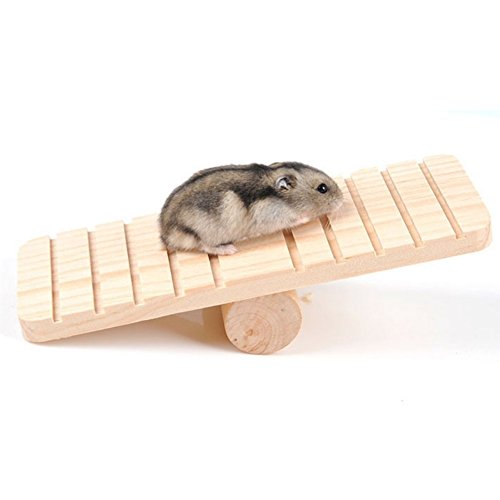 Petall Hamster Aufhängen Leiter Holz Wippe Klettern Spielzeug Käfig Verbrauchsteuer (Deutschland) Geschenk für kleine Tiere Zwerg Hamster, Maus, Ratte, Chinchilla, Gerbil, Igel, 3 von Petall