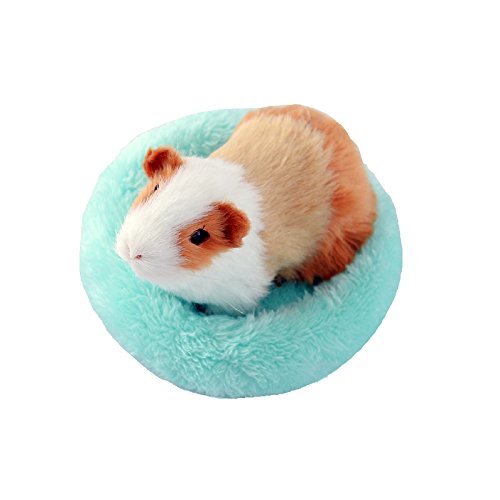 petall Hamsterbett, weiches, warmes Kissen für kleine Tiere, warme Haus-Schlafmatte für Hamster/Meerschweinchen/Igel/Eichhörnchen/Mäuse/Ratten/Chinchilla (Samll, grün) von Petall